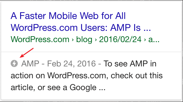 amp serp