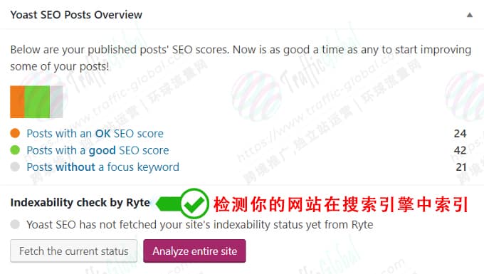 Yoast Ryte Analysis 1